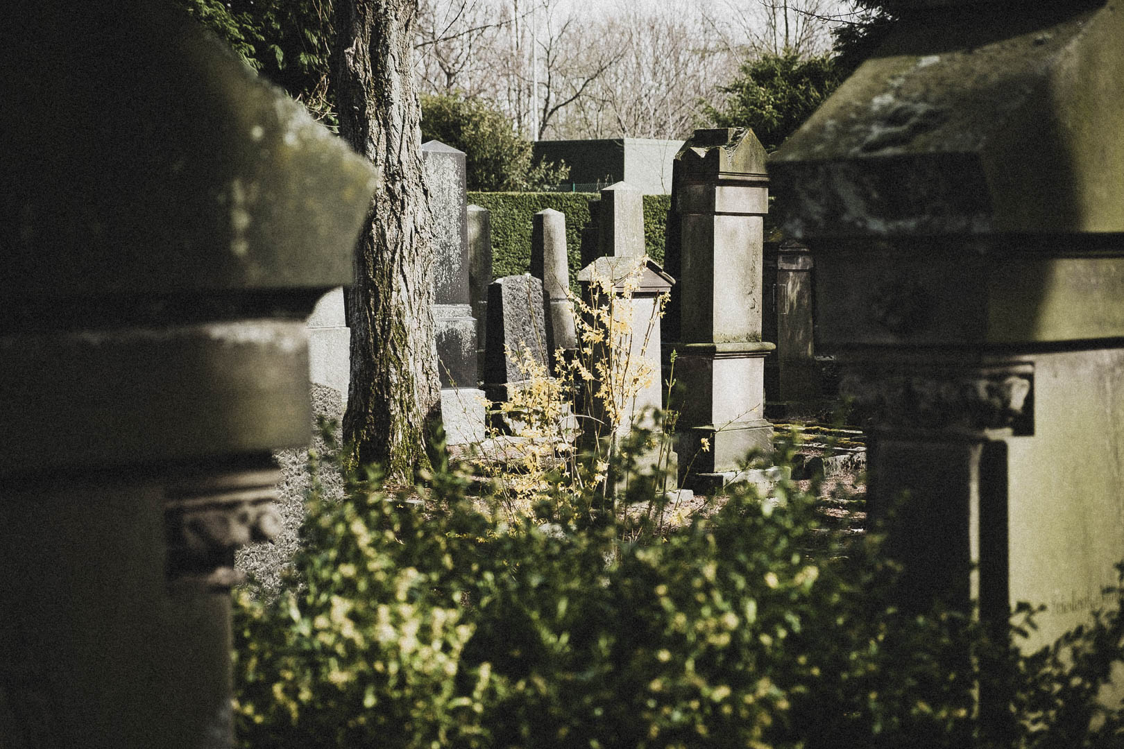 Paderborn, Jüdischer Friedhof